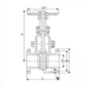 30с527нж Ру25 GOST steel gate valve - 图片 3