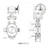 lined butterfly valve series - 图片 4